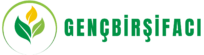 Genç Bir Şifacı